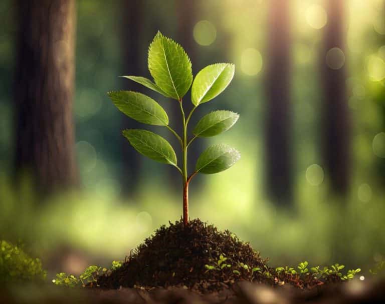 Création d&rsquo;une chambre spécialisée en matière environnementale